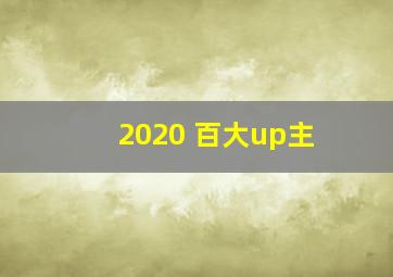 2020 百大up主